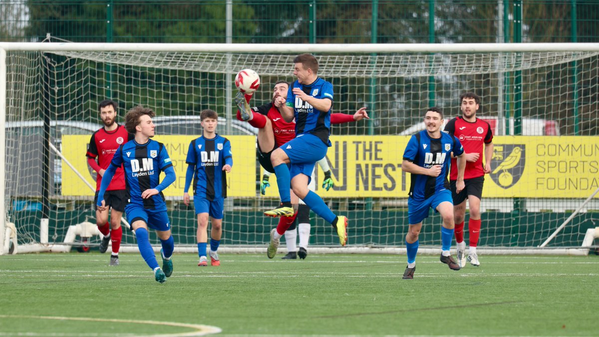 Hardy Scott Photo's tweet media