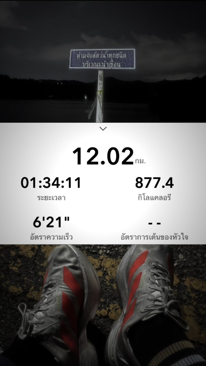 snqnɔuı̣ tweet media