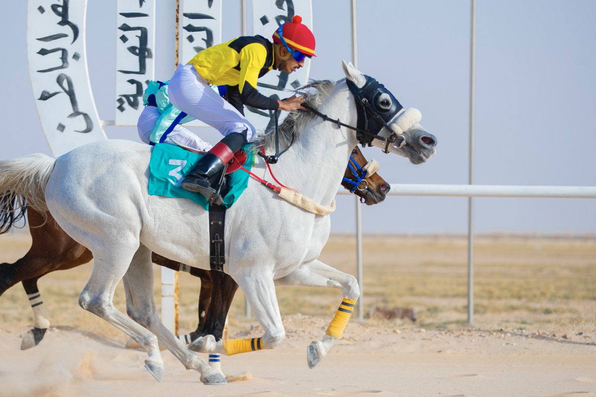 FrusiyaHB's tweet photo. الجواد منفرد يتفرّد في شوطنا الثاني ويحسمه بقيادة الخيّال عبدالله الكريديس 🏇✨ 

#ميدان_فروسية_حفرالباطن https://t.co/QZp4KmDgUn