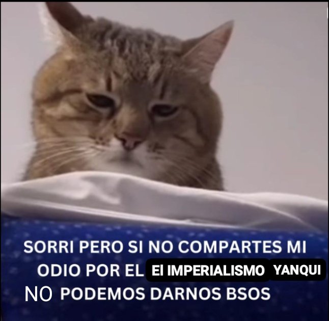 mileroja15's tweet image. Mi sábado 🤭