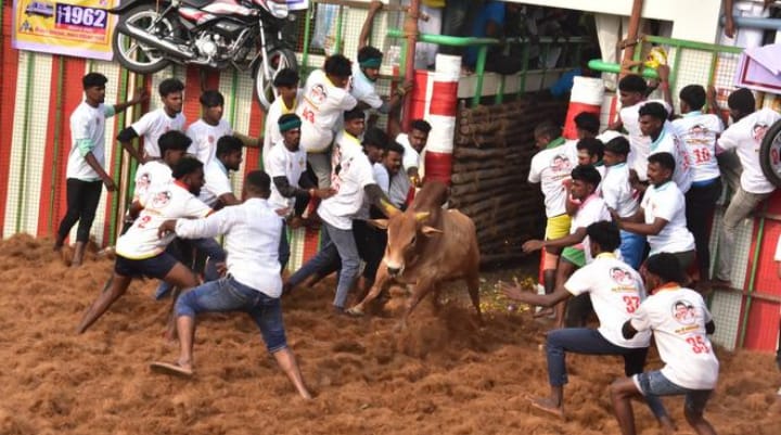 अगर किसी खेल को बचाने के लिए इंसान की जान जाती है तो सवाल परंपरा पर उठेगा ही।
➖

ख़बर है कि तमिलनाडु में जल्लीकट्टू के दौरान 130+ लोग घायल हुए।

मेरे हिसाब से जिस खेल में हर साल खून बहता हो उसे संस्कृति नहीं कहा जा सकता।

मेरे हिसाब से ऐसी परंपरा बंद होनी चाहिए।

नियम