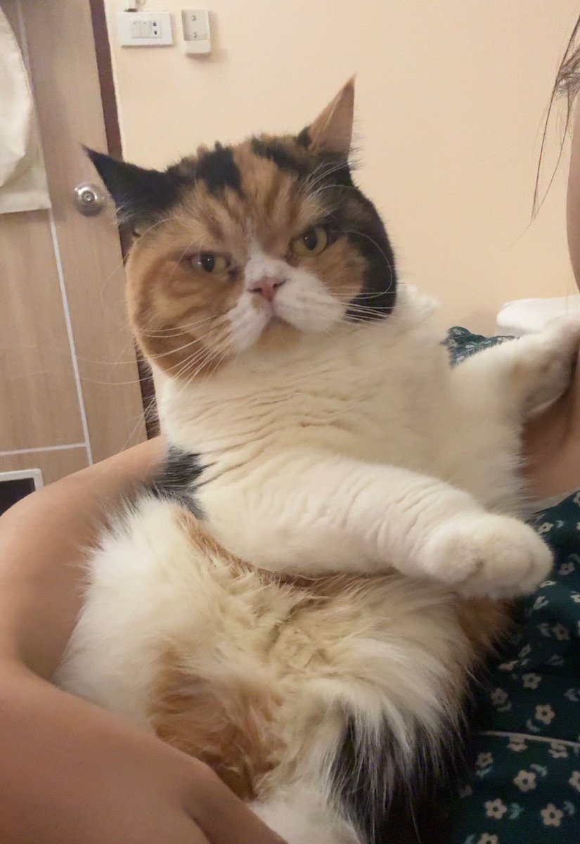 realmingh's tweet image. รุ้รึยังว่าใครร้ายที่สุดในบ้าน ยังไม่รวมที่เปิดแอร์เอง น้ำหนักเกินมาตรฐาน