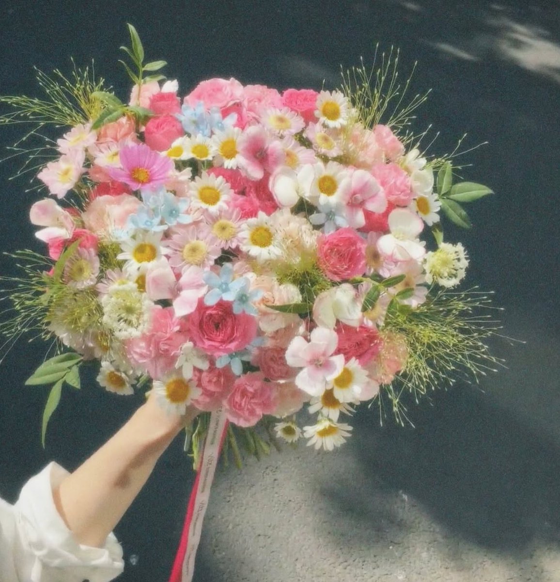 1leio's tweet image. 