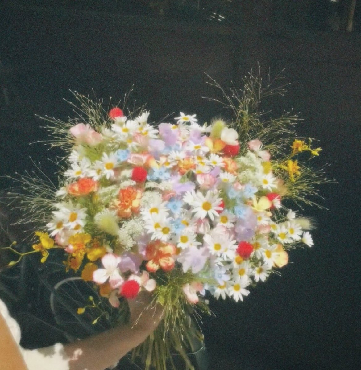 1leio's tweet image. 