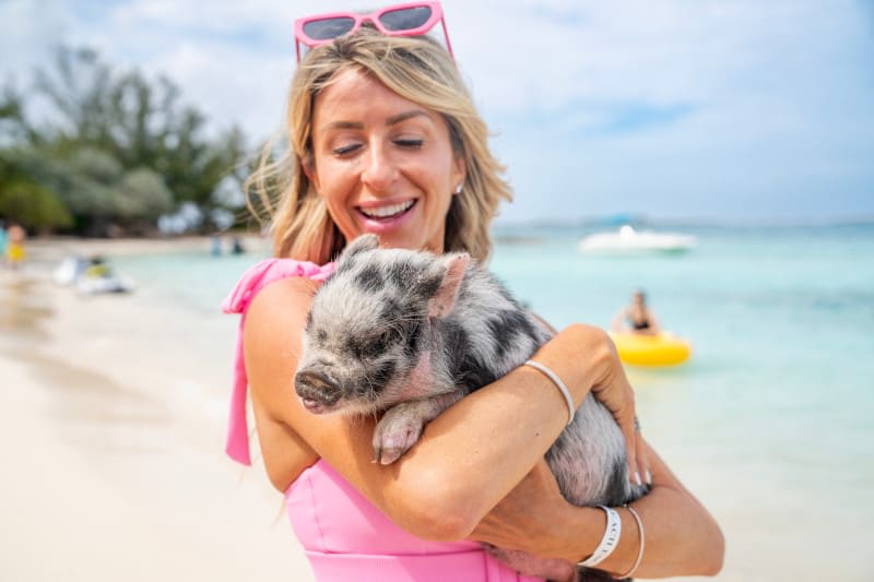 Make4everMemory's tweet image. 🐷🌴 Dive into the ultimate adventure and check out Celebrity's Caribbean itineraries! Experience the magic of Nassau and visit Pearl Island, where you can swim with the adorable pigs!  🏖️

Contact me today to book your sailing and join in on the fun! 📞
