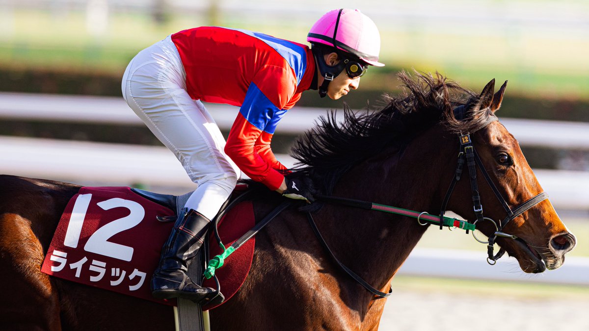 ゆず (@mame_yuzu_mamei) / Posts / X