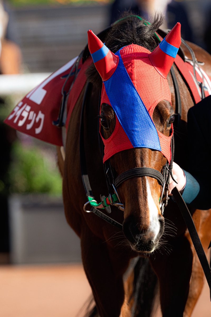 ゆず (@mame_yuzu_mamei) / Posts / X