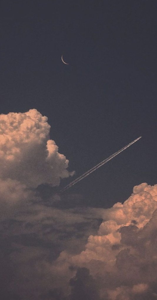 JamieActor's tweet image. 友達とテーブルゲームカフェ行って新作ゲーム体験
戦略性が高くて頭使うから疲れたけど楽しかった 👤