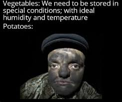 Fellow Human tweet media