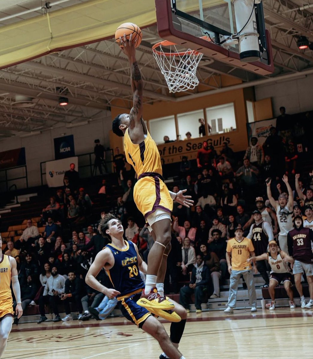 Salisbury Men's Basketball tweet media