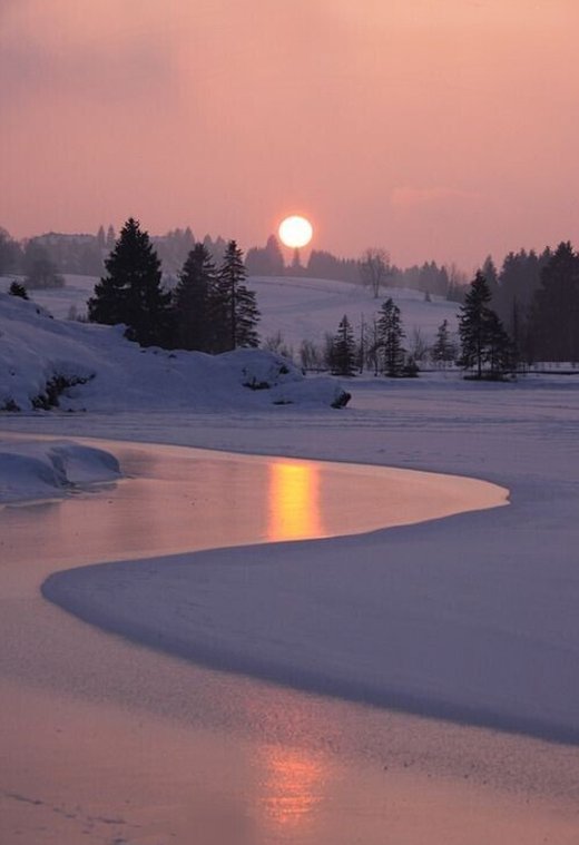 Seboshos's tweet image. コーヒーを5杯飲んだら手が震えてきた
飲みすぎは良くないね 🐐