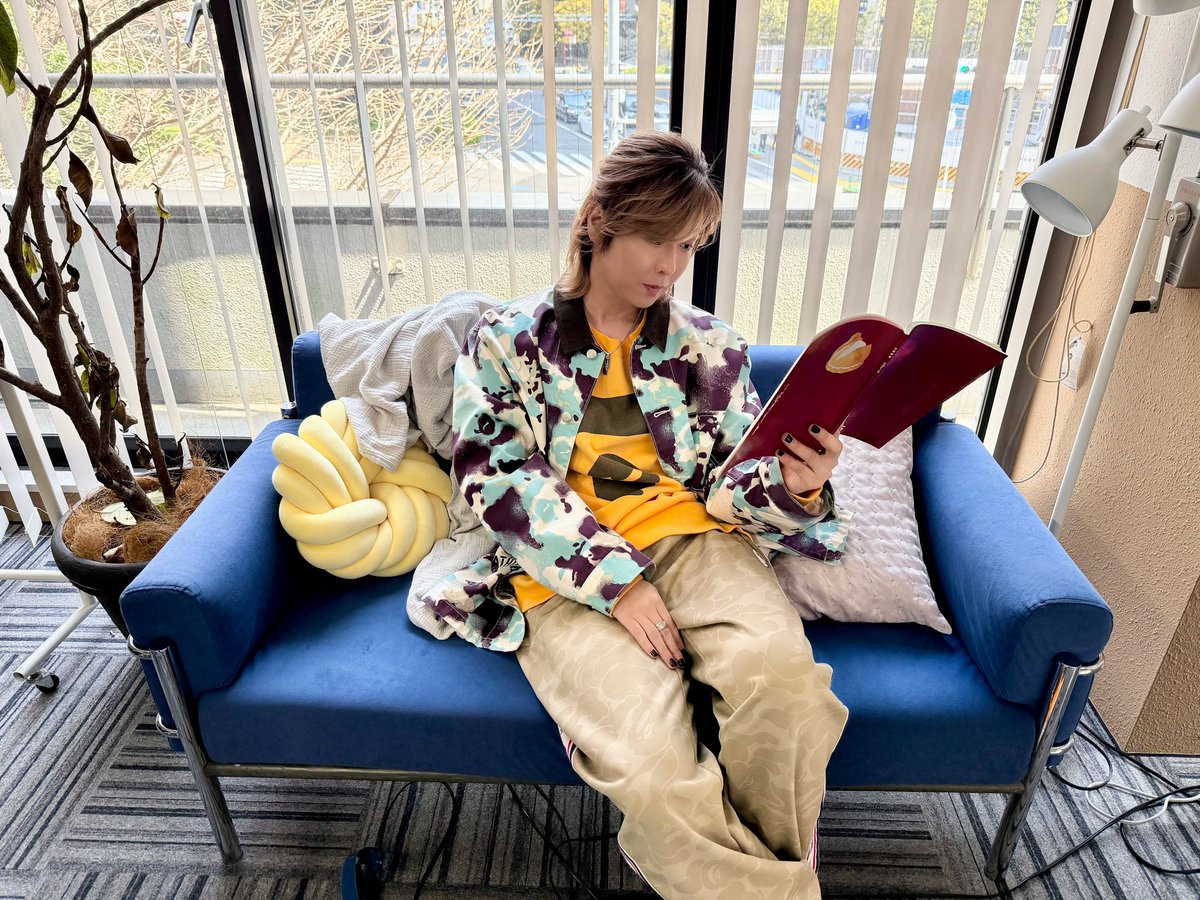 ぽむ ちむだん ちむだん ちむだん ちむだん ZX DAMPER - RACING GEAR（