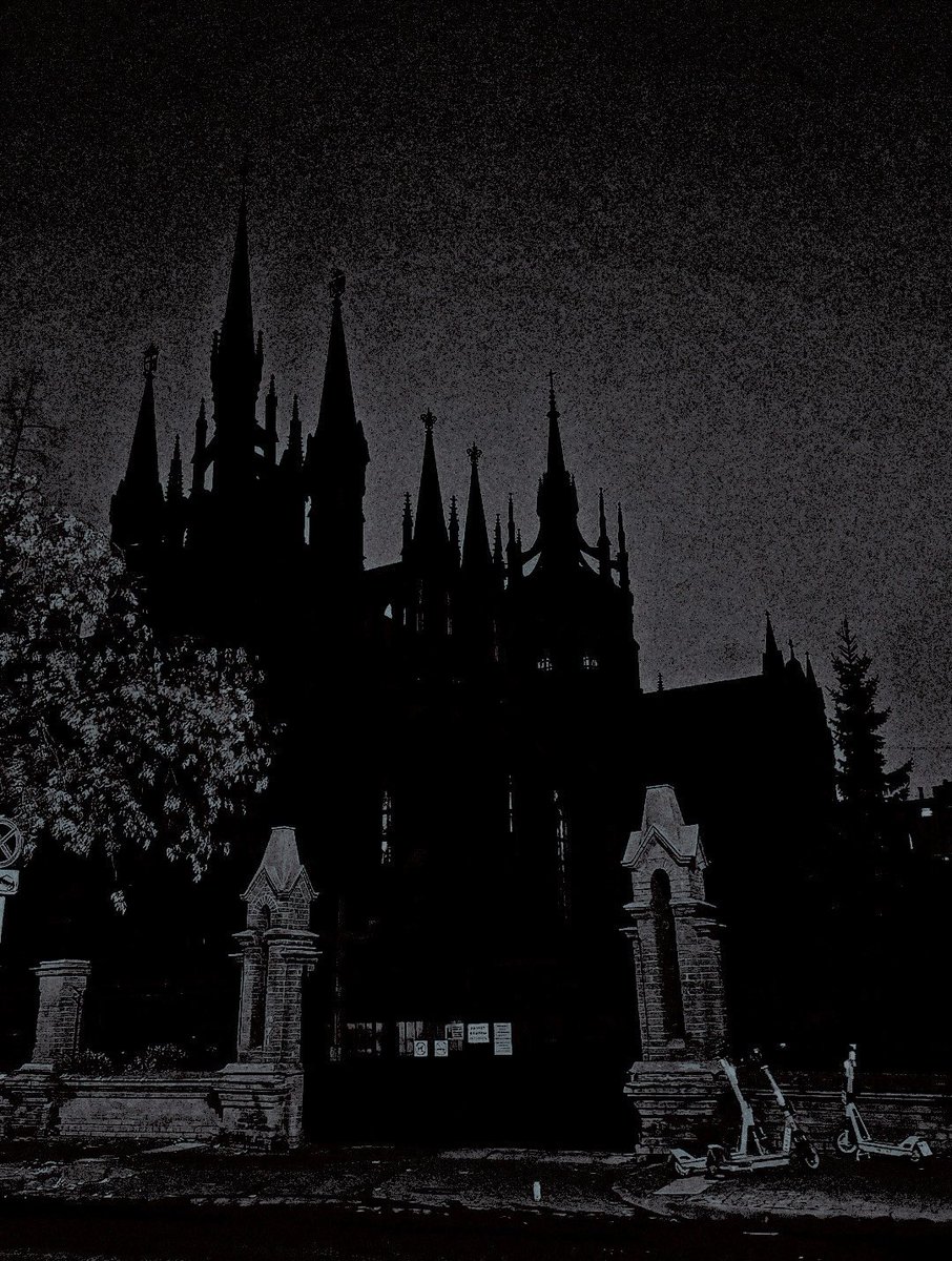 ‍ ‍ ‍ ༒ 𝐚𝐬𝐡𝐞𝐧 𝐯𝐨𝐰 tweet media