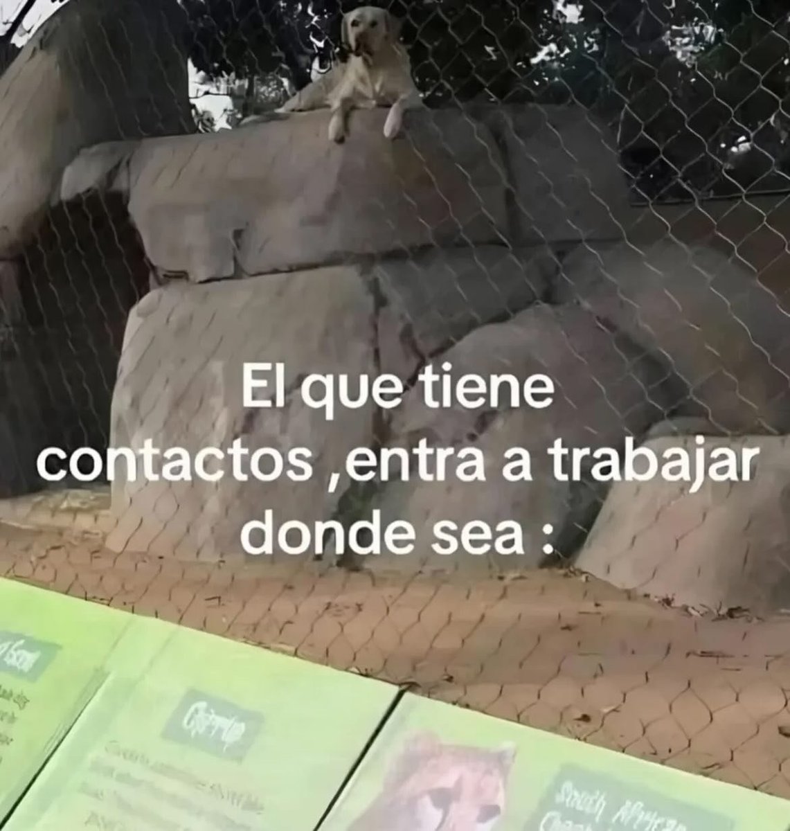 Recursos Humanos 🥸