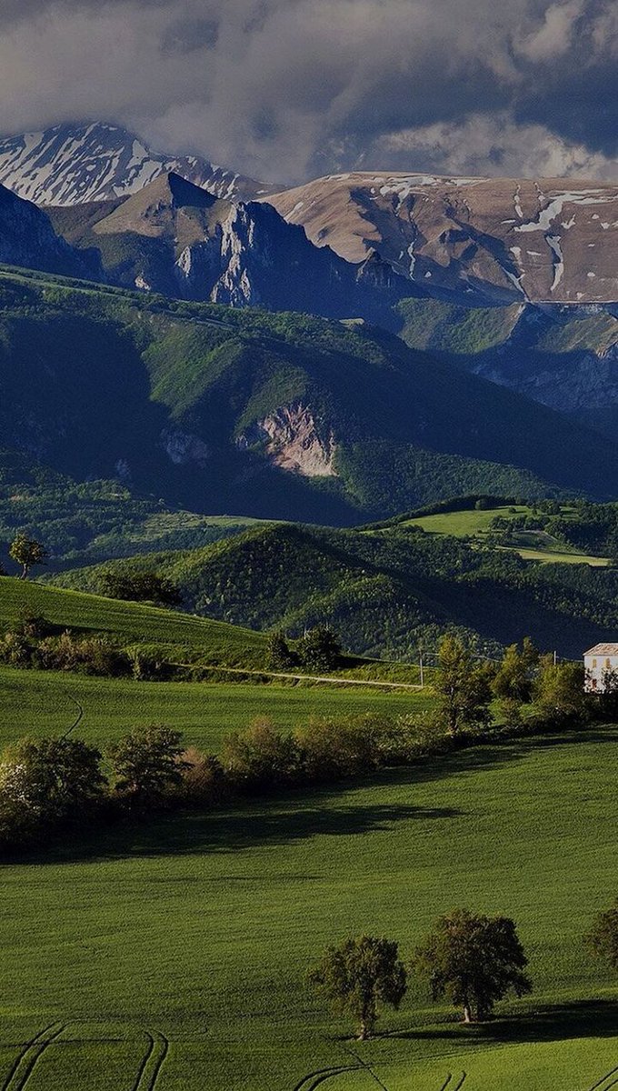 Jeff_Chong's tweet image. 彼女が風邪を引いた時に作ったおかゆ、意外と好評だった
料理の腕も上がってきたかな 🍨