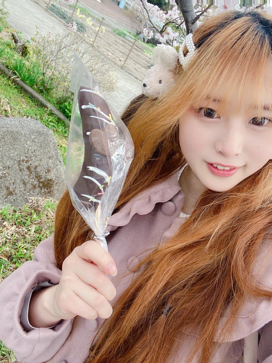 うさ姫ページ 楽天市場】GEX クリアフロント80 飼育ケージ ケージ ゲージ