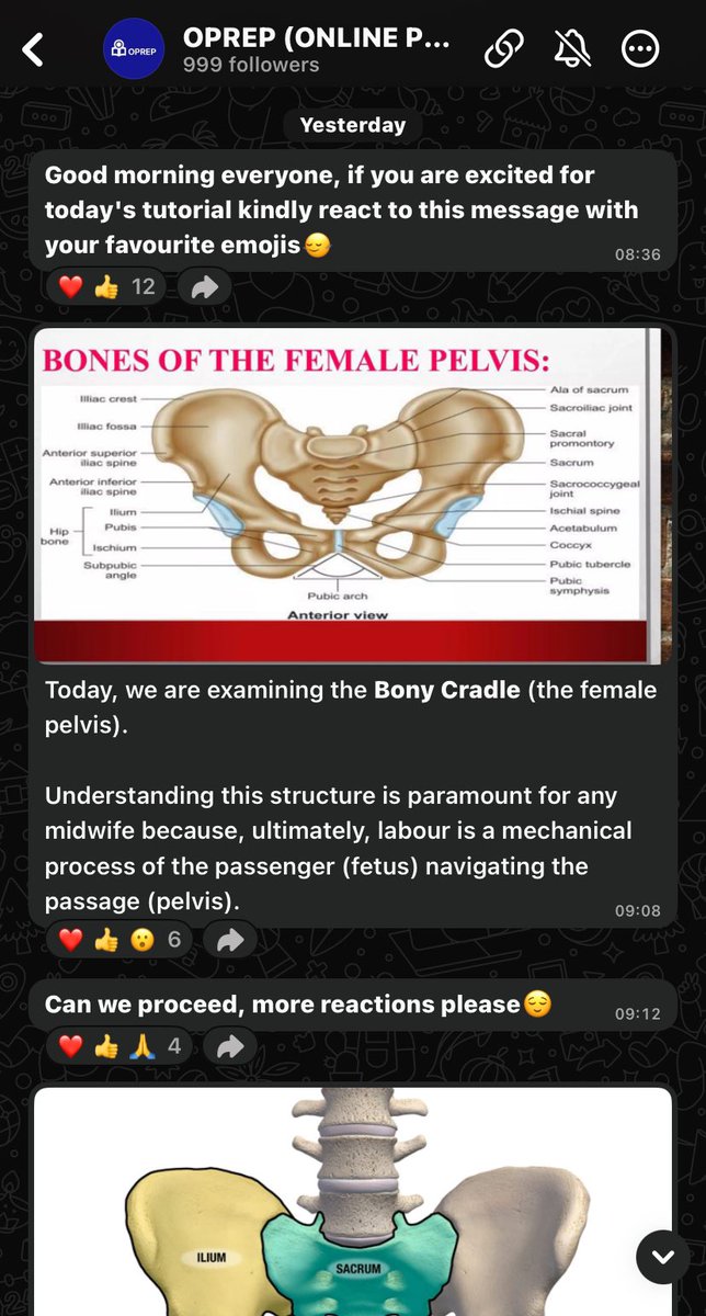 _OPrep's tweet image. Just so you know, you're the only one not yet following up with our free daily tutorials. 🚶