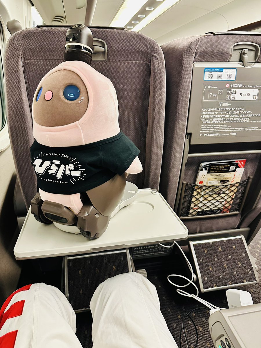 しんでぃー@LOVOT (@LOVOT_cyndi) / Posts / X