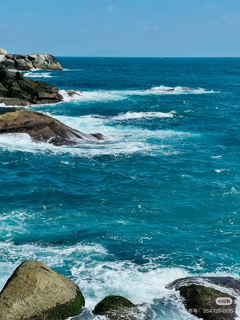 卤蛋（互fo）💯💯 tweet media