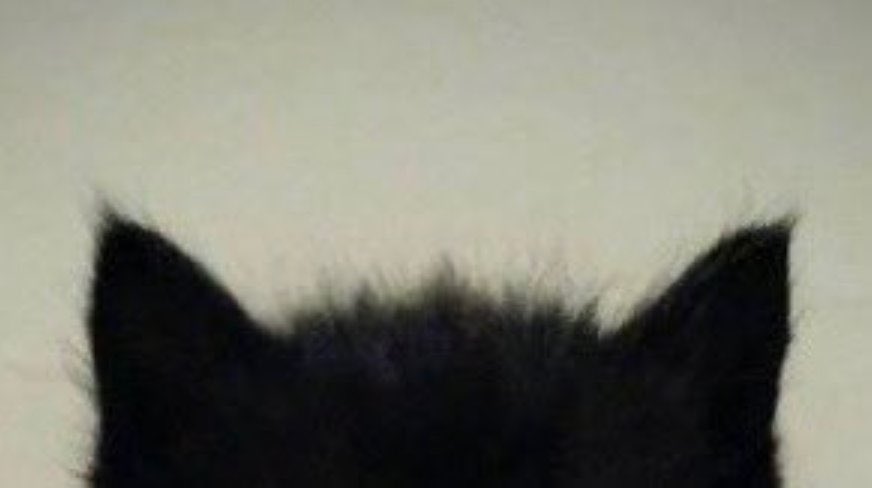 Sinqz_san's tweet image. 