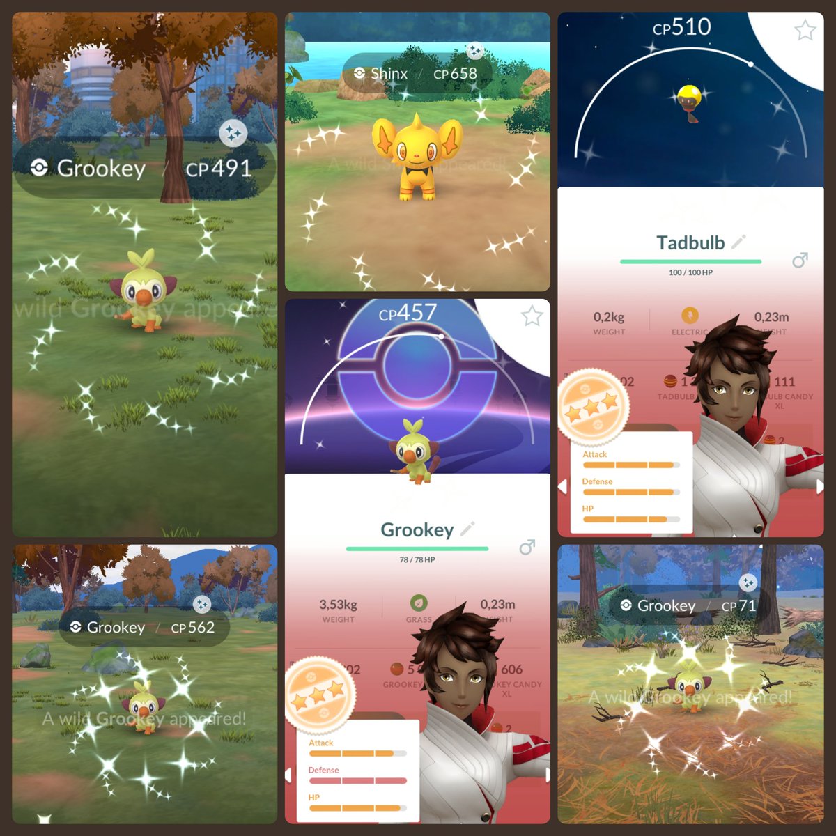 Grookey ComDay: 19 ✨, 3 with the bg. Hatched second ✨ Tadbulb. Random sparkles on Shinx. #PokemonGO #ShinyPokemon #PokemonGOCommunityDay