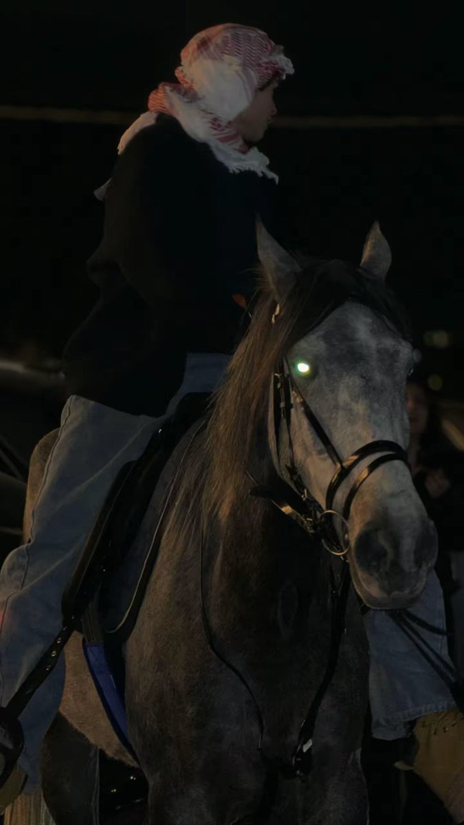 Nothing matters more to me than my pretty mare