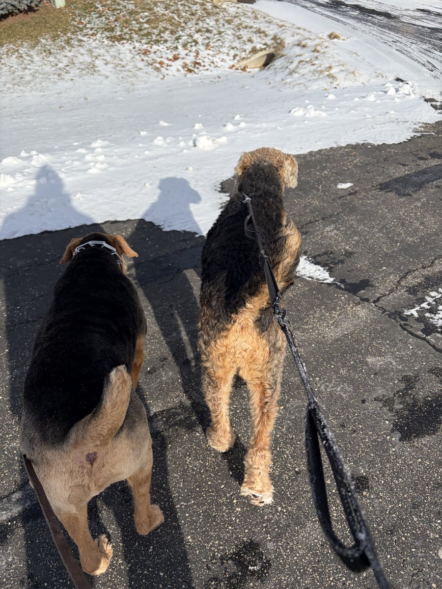 Dentrev21's tweet image. I guilted me into it and now we’re all happy.