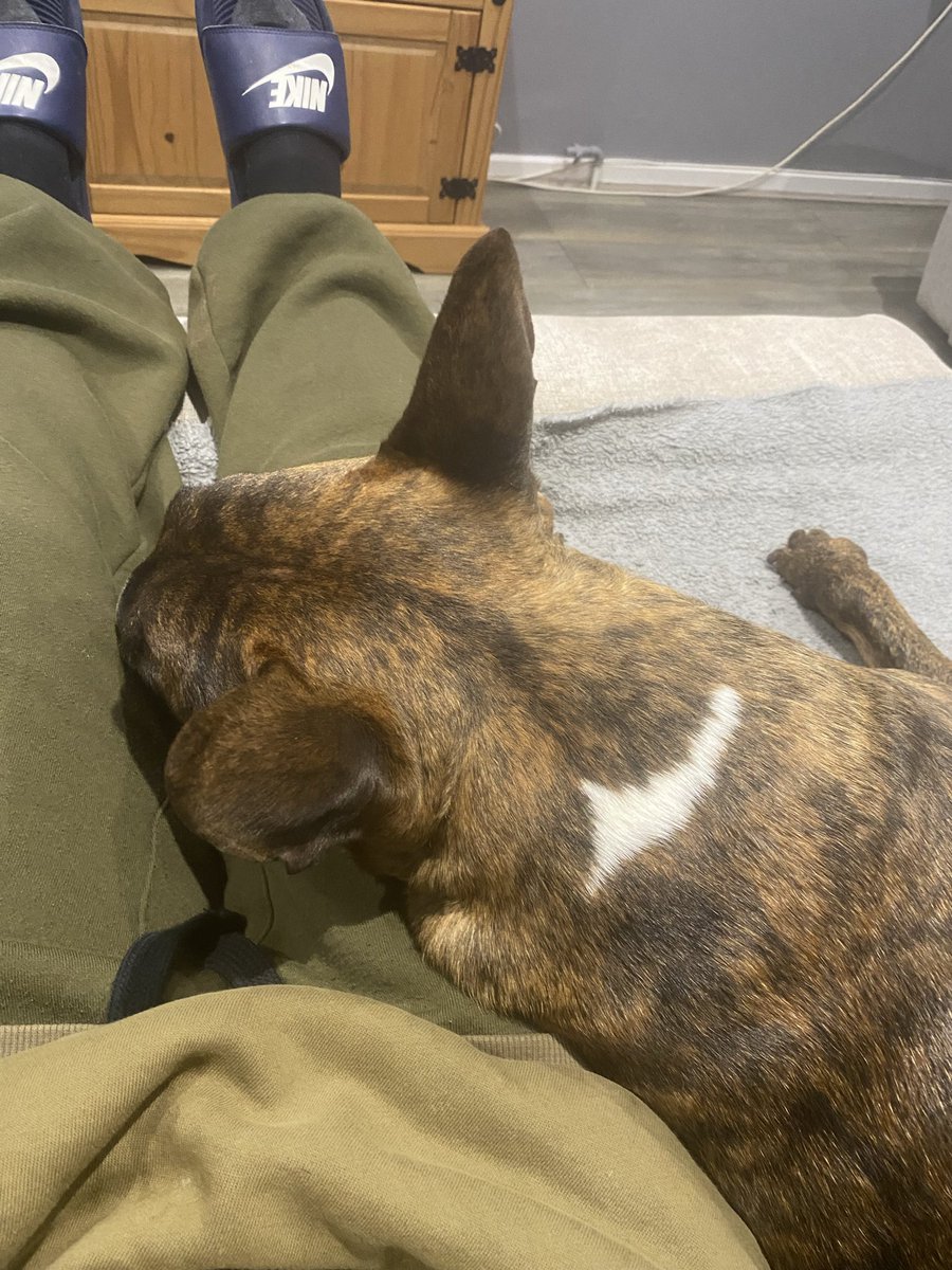 24 hours on the bank and some one loving the heating on full blast