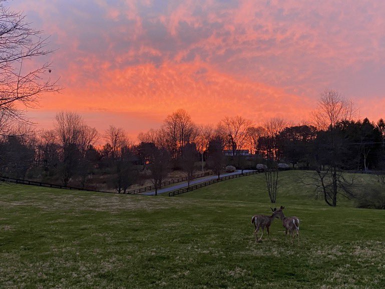 How is everyone today