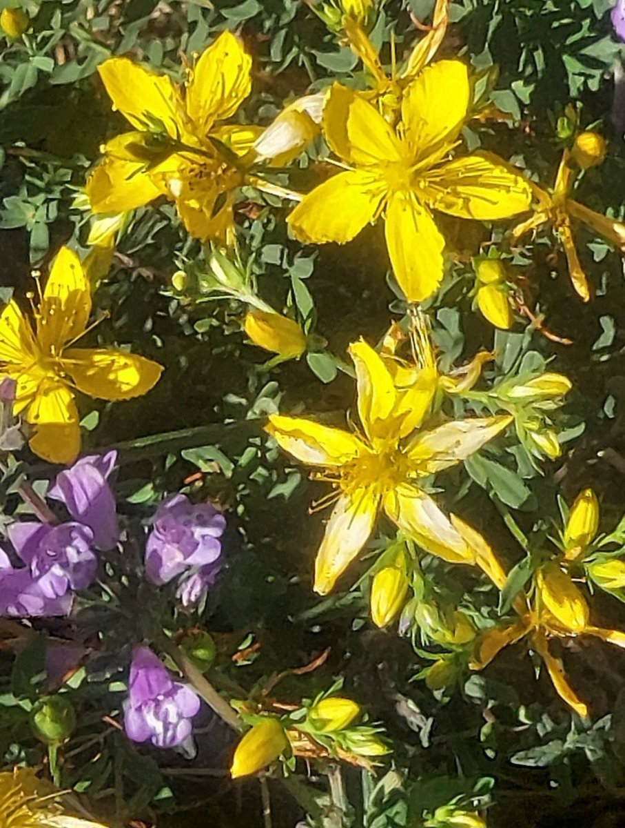 Maria Lea tweet media