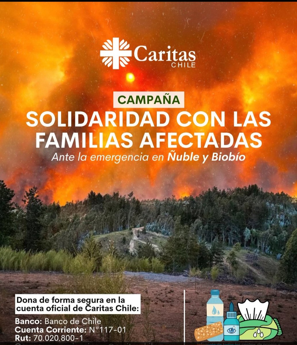 FernandoChomali's tweet image. La Iglesia comprometida a sacar adelante las zonas devastadas por el incendio. Nuestro más sentido pésame a los familiares por sus seres queridos fallecidos. Toda nuestra red de solidaridad al servicio del país. Chile se une y solidariza en el dolor y la desgracia. Siempre.