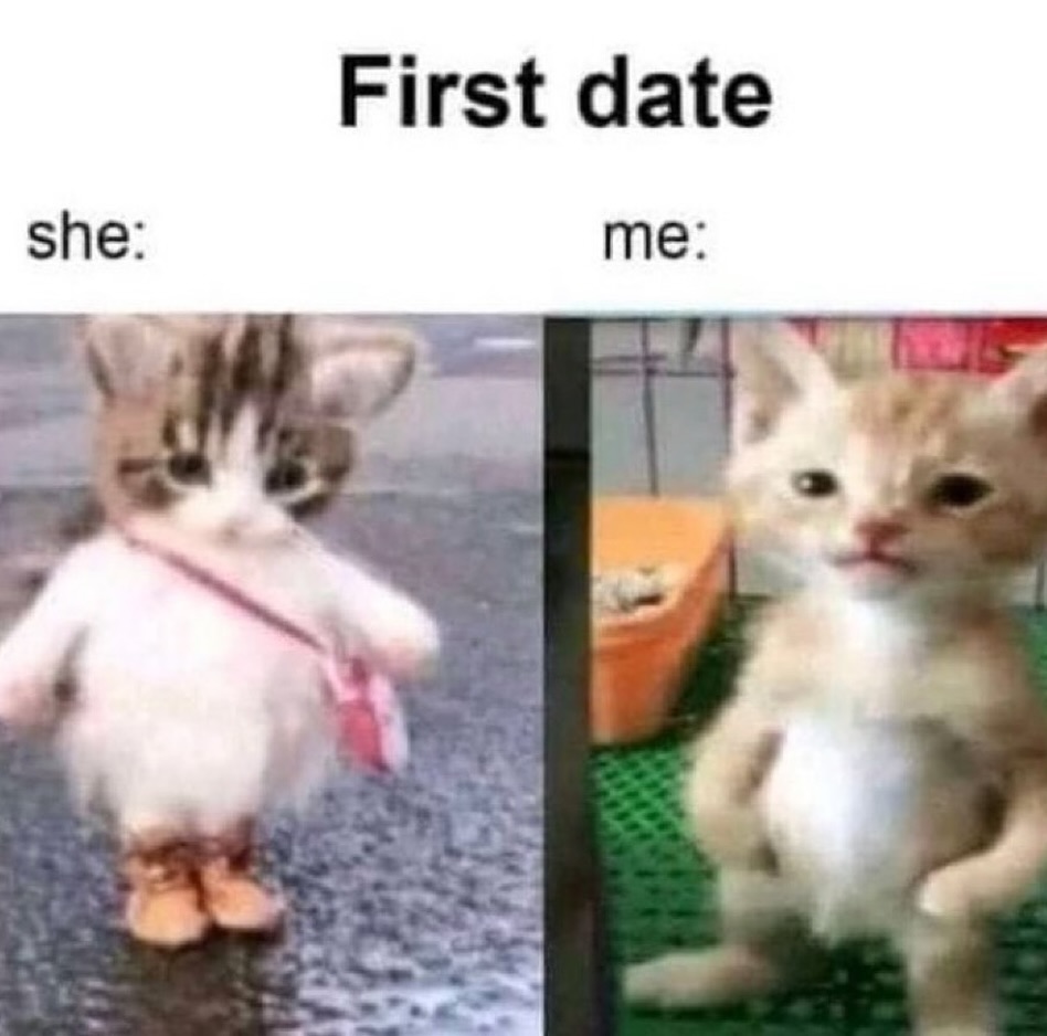 Catsillyness's tweet image. First date