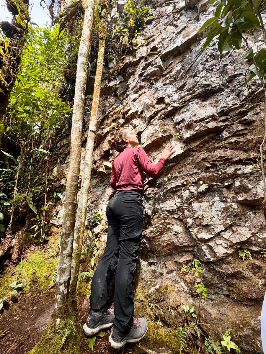 Venelands's tweet photo. ¡Explora lo inexplorado con Venelands Expedition! 🚀

​Este es el Destino: Roraima, pero no es cualquier  Trek ... ¡Te llevamos a La Proa, un punto exclusivo que pocas agencias se atreven a explorar!

¿Fuiestes al Roraima pero no a la Proa? 🫩🥴

¿Quieres vivir esta experiencia? https://t.co/AZ6CFQAxW7