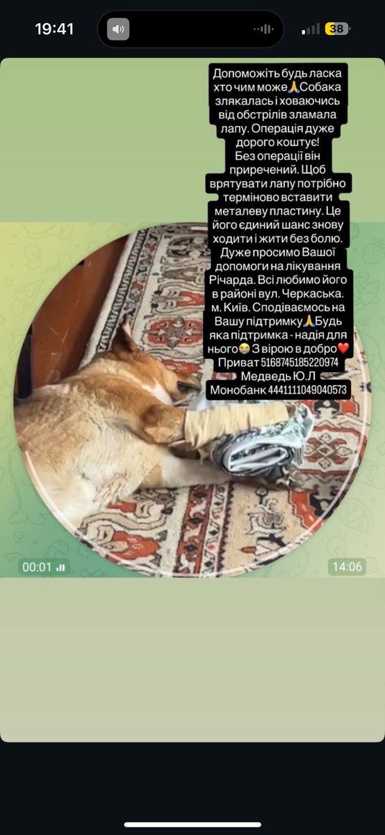 Знайомі запостили і просили поширити. Звісно, я не можу постити тут збір, бо у мене свій збір + потреби військових завжди будуть у мене в пріоритеті. Але, може, хтось знає, де є шанс прооперувати собаку дешевше за 50 сука тисяч гривень (це рахунок з державної клініки)?
