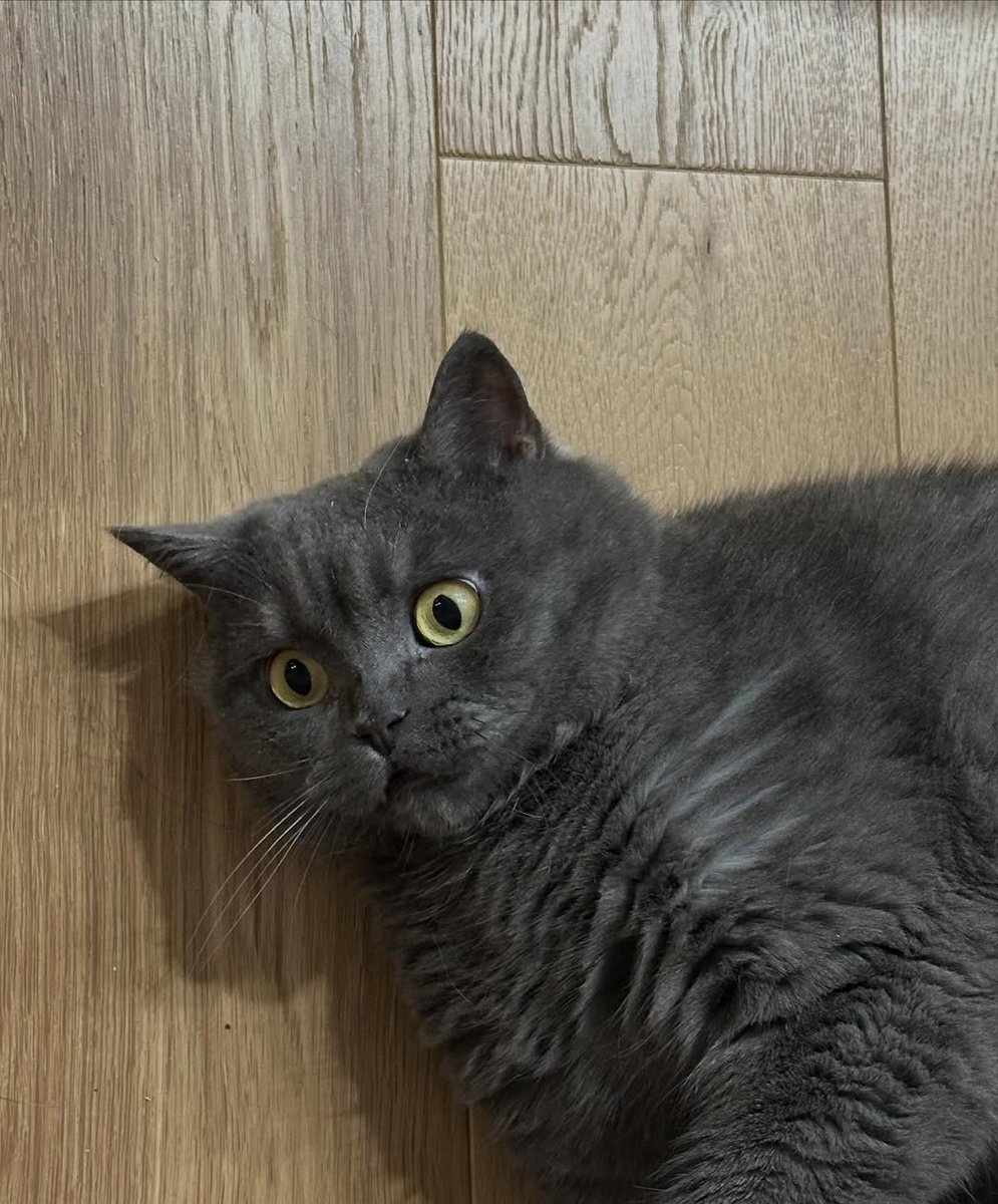 BeidRuby40605's tweet image. 