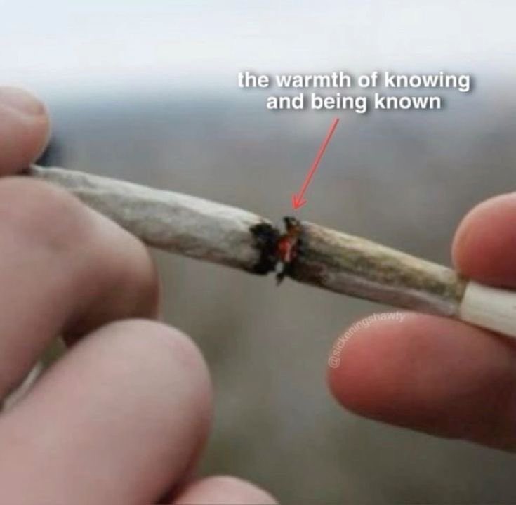 llpipi's tweet image. 