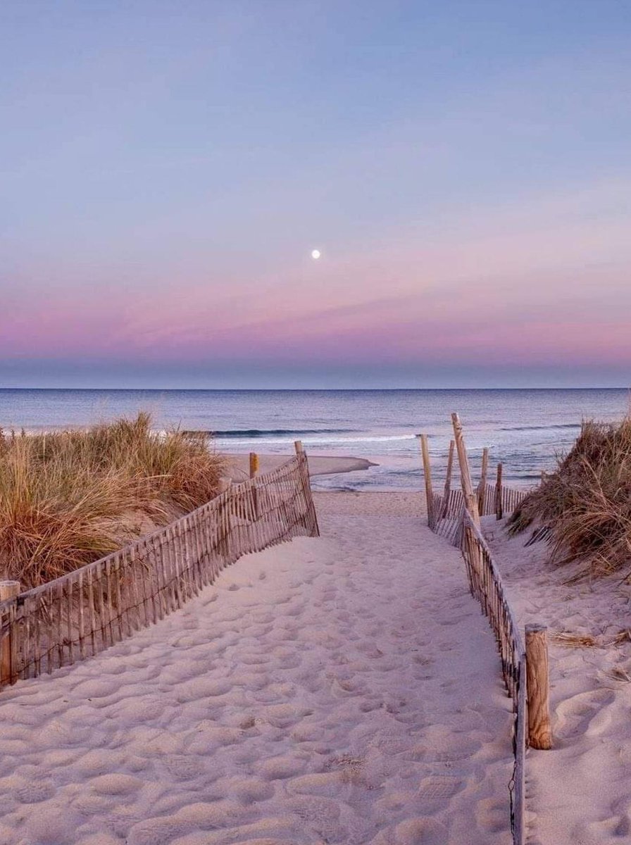 MrFireFish's tweet image. グッズ整理ってご苦労様 🍳