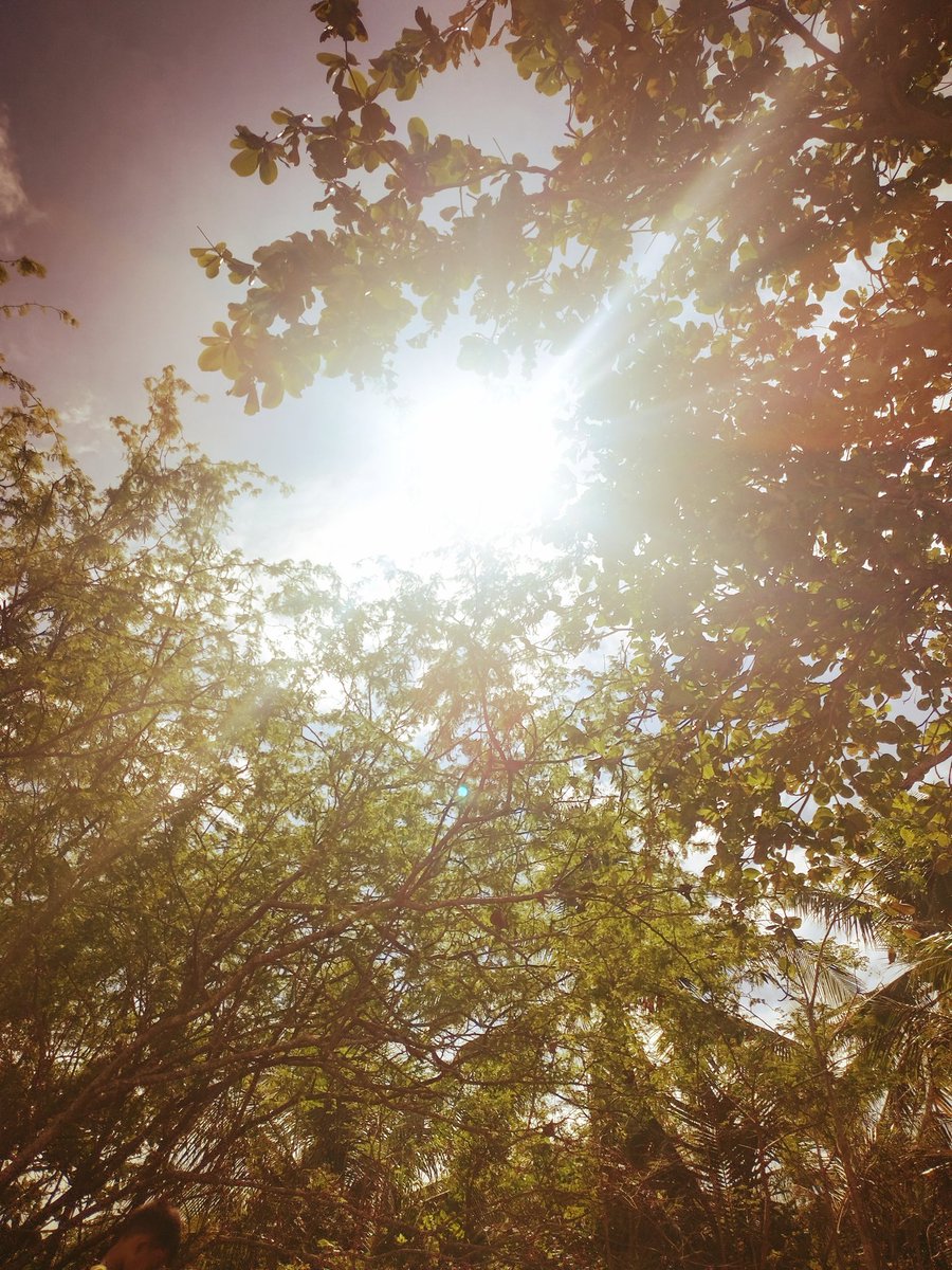 ttyeoki's tweet image. 