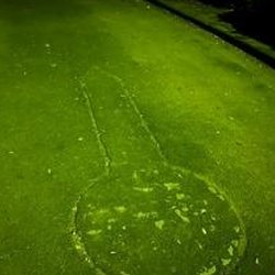 asssha's tweet image. 夕方からメモ 🥴