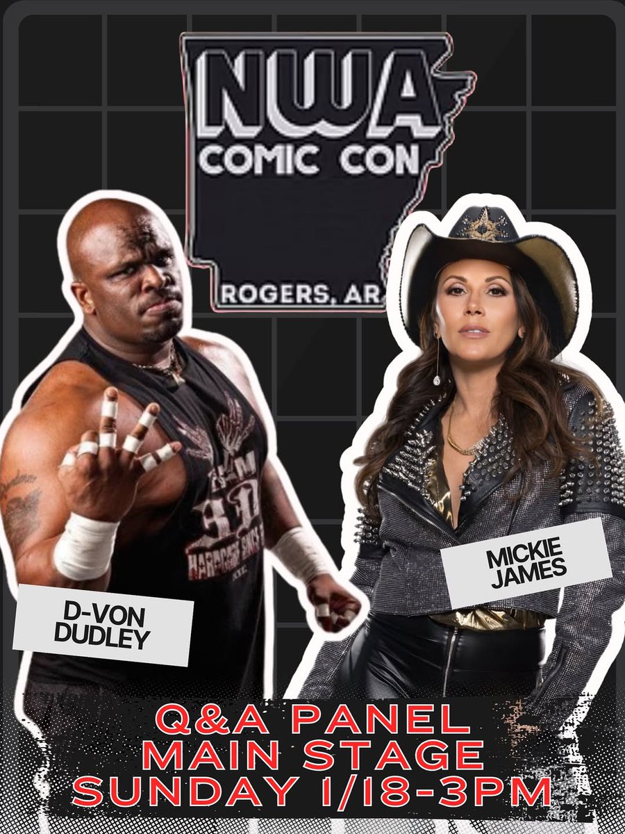 Mickie James~Aldis tweet media