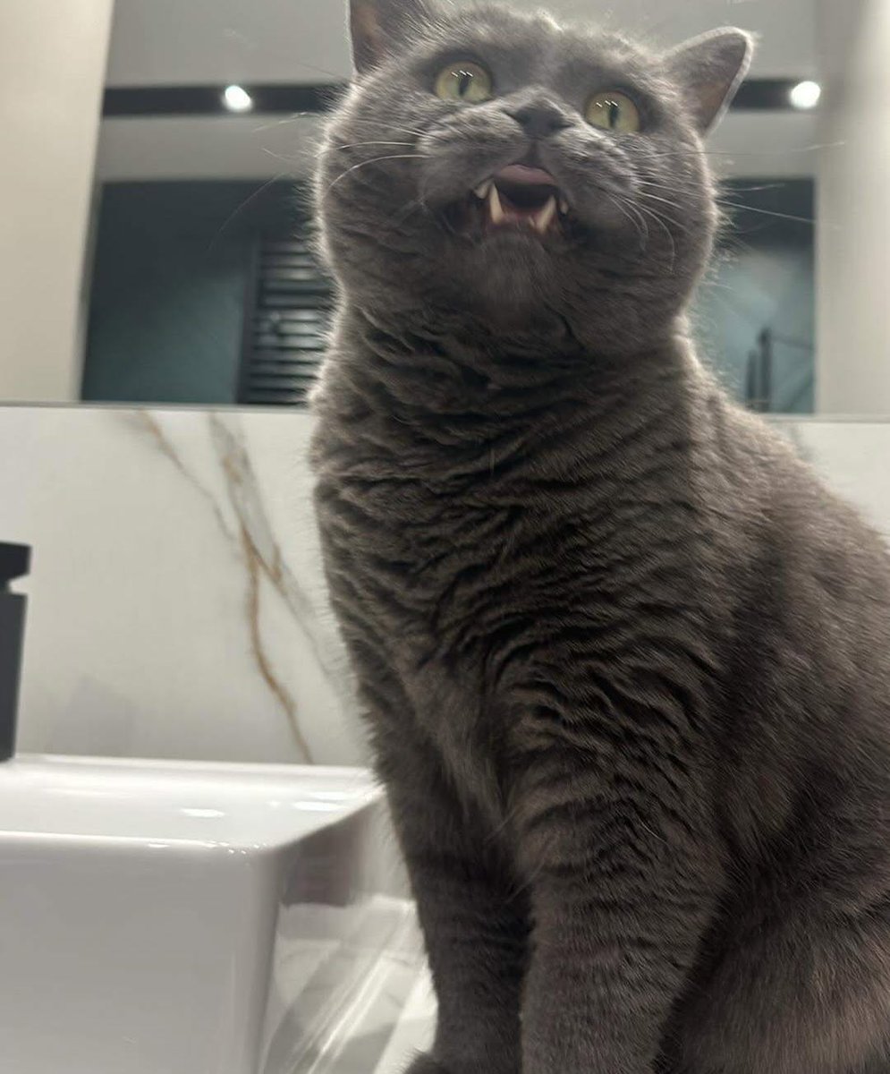 BeidRuby40605's tweet image. 