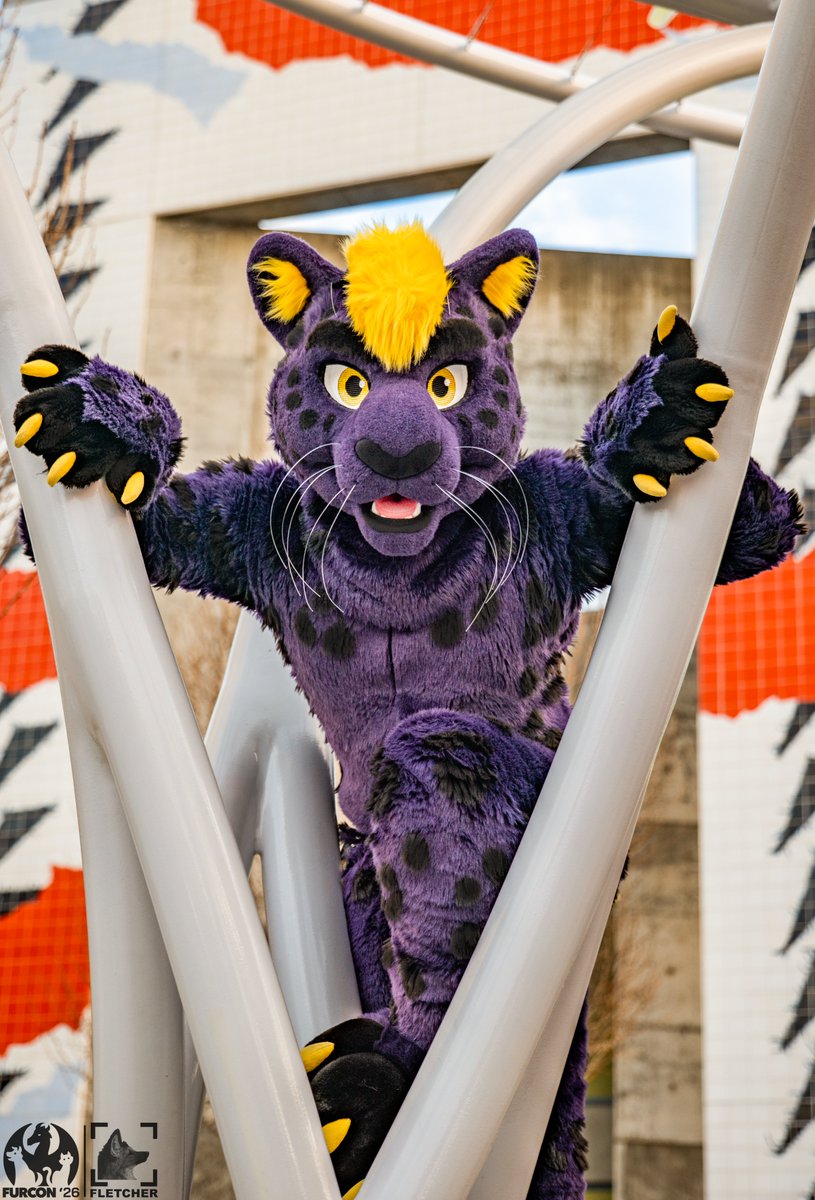 werewolf_doctor's tweet photo. Pouncing into Sunday

#FurCon2026 
🟣: @FinnThePanther https://t.co/gNhom5Sf3e