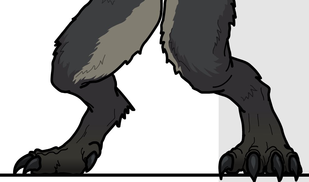 En proceso ✏️🐺