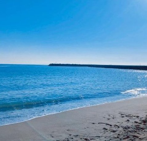 RaceAlex's tweet image. 眺めるしながら団子 🤥