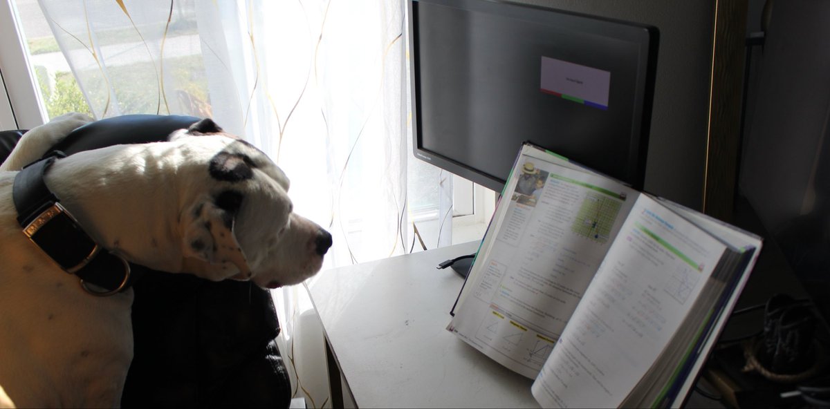 Caleb Ingram tweet media