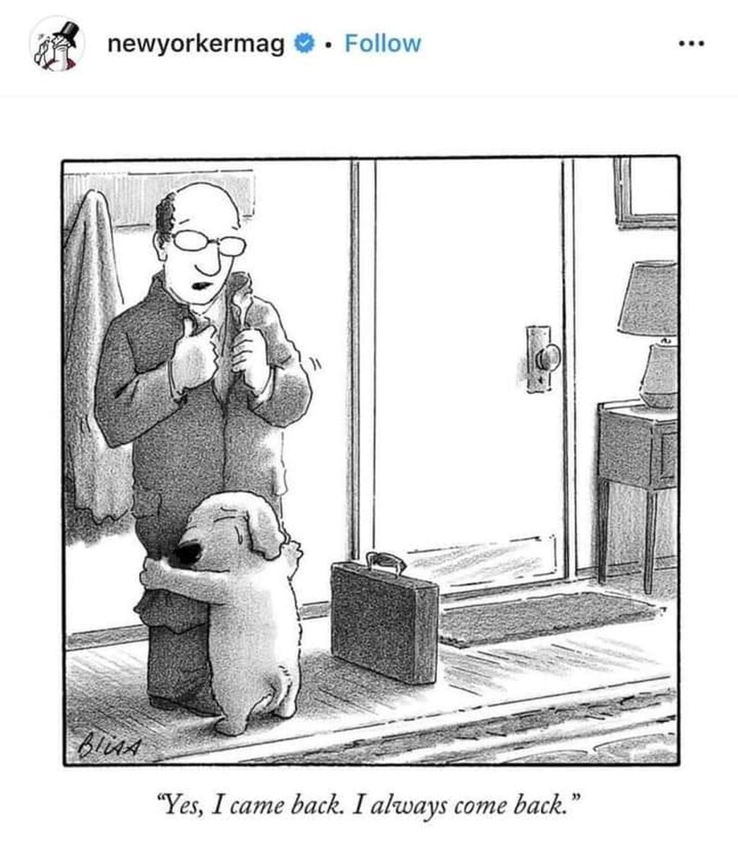 Pawzazzle (@pawzazzle) on Twitter photo 