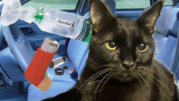 💜🌹🦋☆ 𝙓inda☆🦋🌹💜 (slow) tweet media