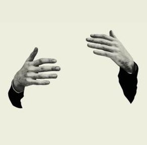 StephanSchellho's tweet image. 日差し弱いでソワソワ 🐛