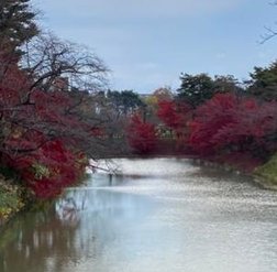 Stahn2001Larry's tweet image. 起床後より充実 👰