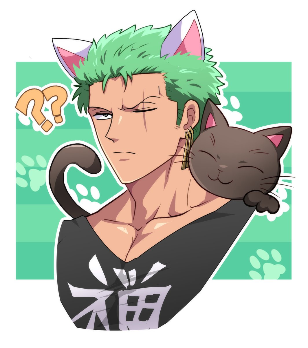 ❓️⚔️❓️🐱❓　❓️❓️❓️